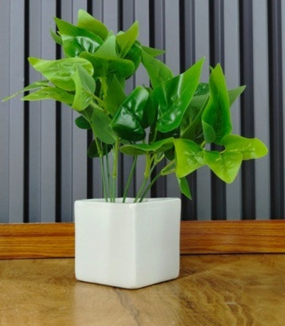 Ceramic Pots