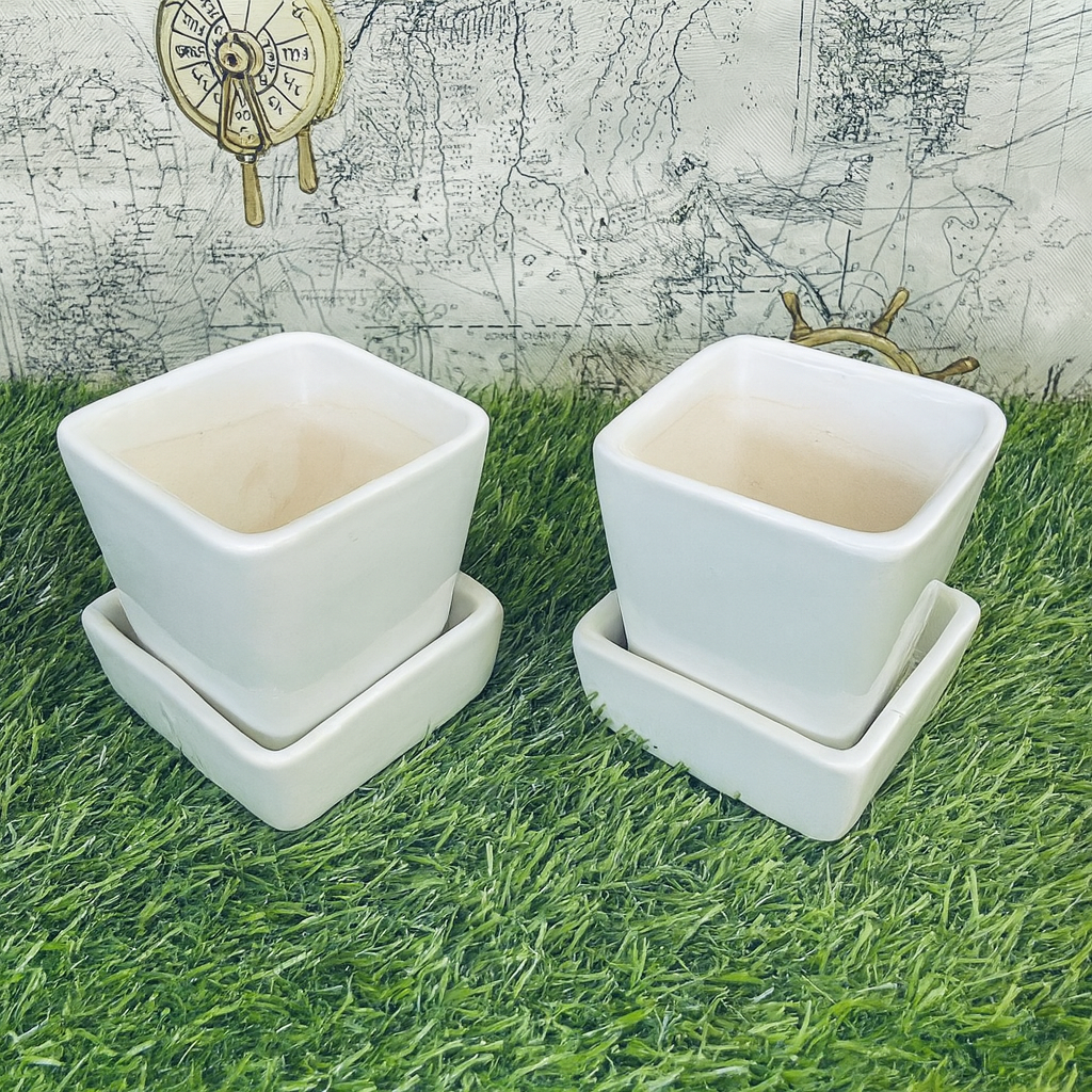 Tapered Ceramic White Classic Planter With Tray