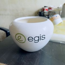 Essential Pots & Planters
