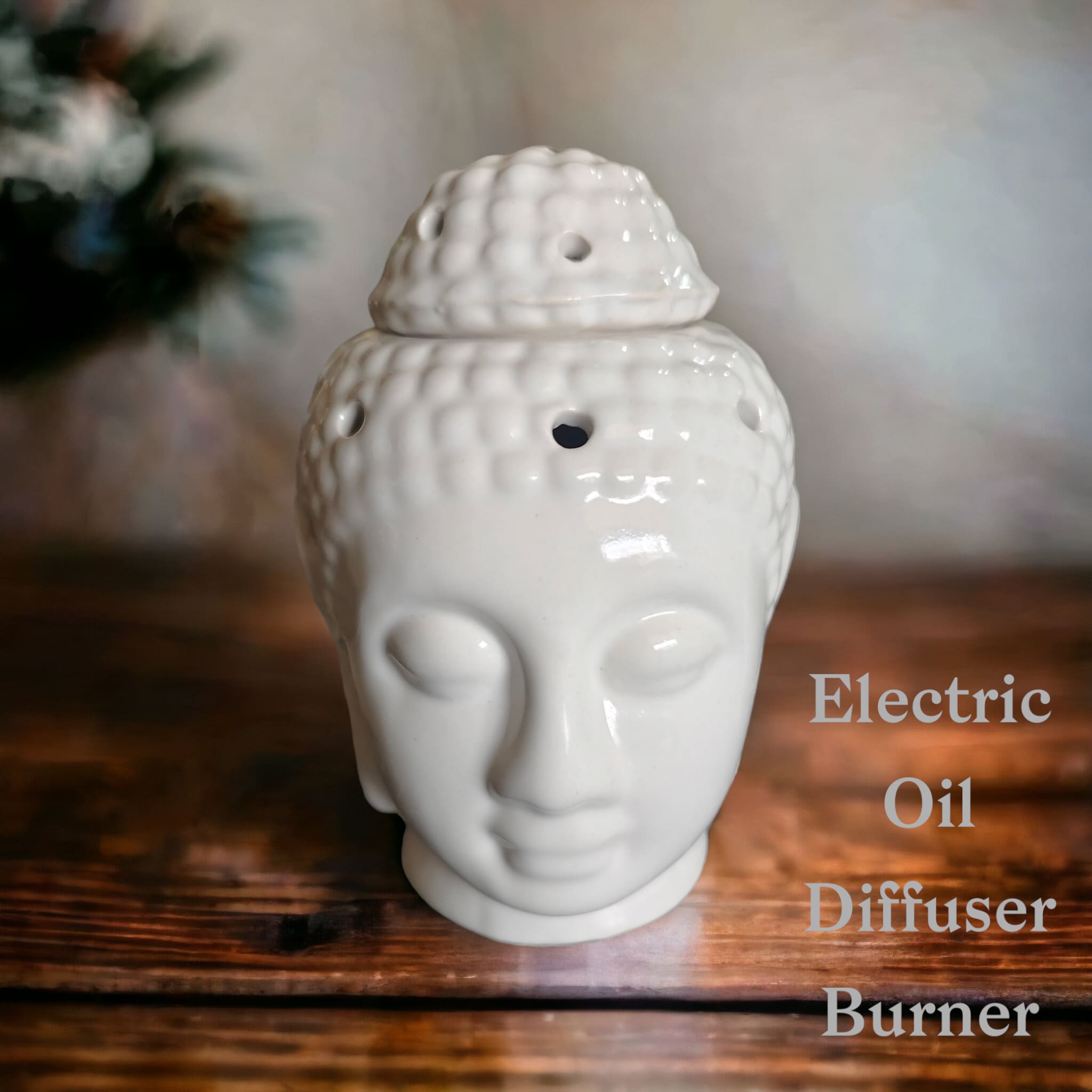 Electric Oil Diffusers