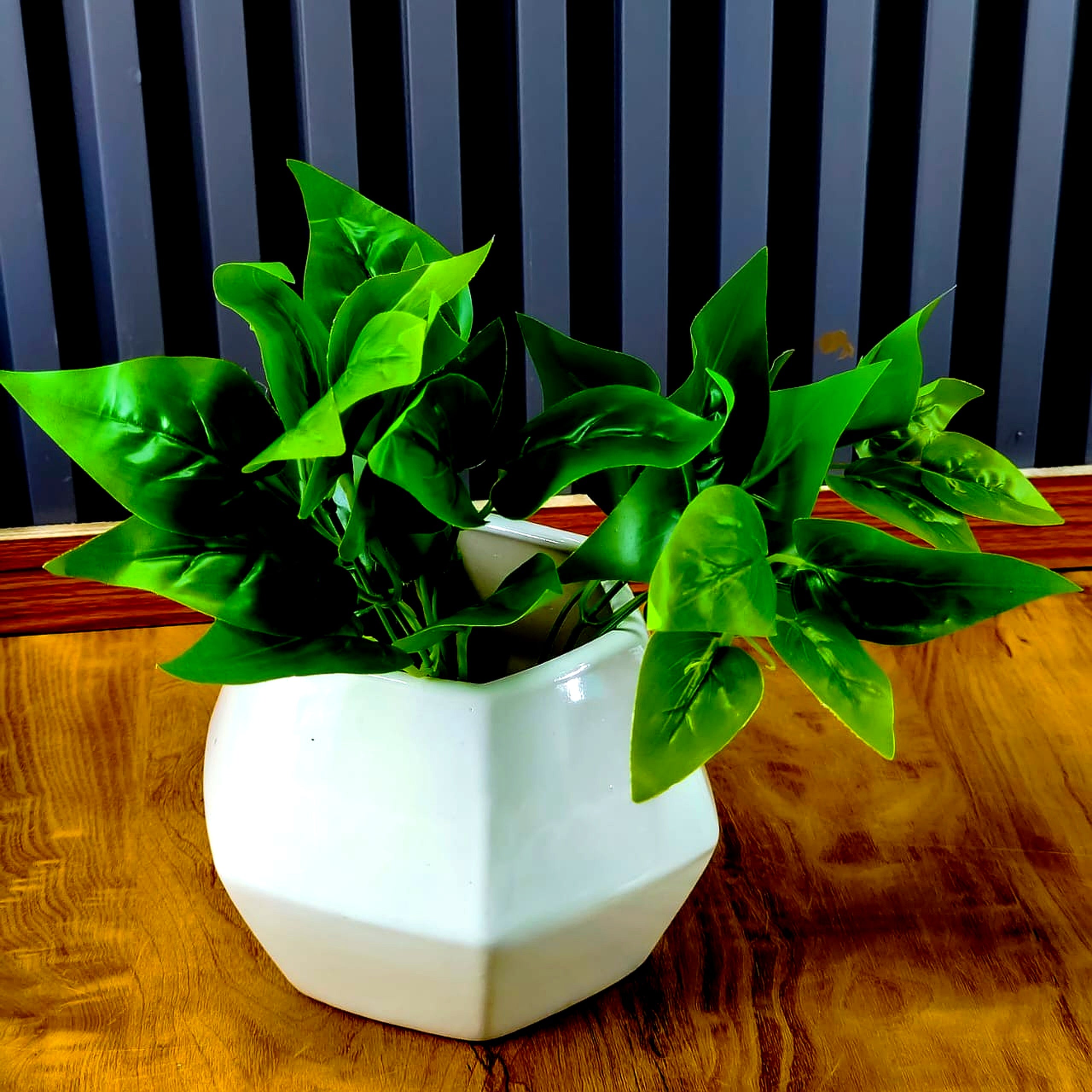 Artificial Leaf Plant with a geometric white pot